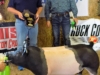 Grand Champion Hog - Natalee Lynd (not pictured) 