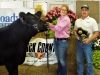 Grand Champion Market Steer - Allyson Whitcomb